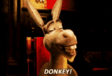 Donkey Smile GIF - Donkey Smile Happy GIFs