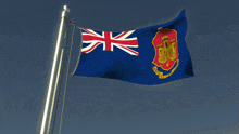 a blue flag with a red shield and a castle on it