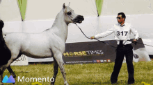 mahboob horse white horse