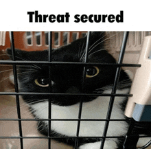 Maxwell Cat GIF - Maxwell Cat Threat Secured GIFs