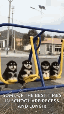 Swing Puppies GIF - Swing Puppies GIFs