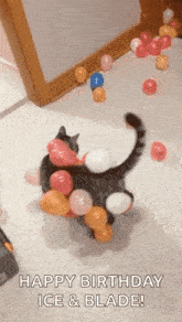 Cats Static GIF - Cats Static Balloonsstick GIFs
