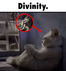 a cat is looking out a window with a painting of a woman in a circle above it that says " divinity "