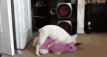 Cat Humping Teddy Pink Toy GIF