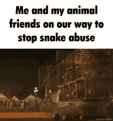 Stop Snake Abuse GIF - Stop Snake Abuse GIFs