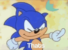 Sonic Thats No Good GIF - Sonic Thats No Good GIFs