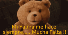 Yalina Mucha Falta GIF - Yalina Mucha Falta Bear GIFs