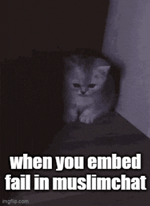 Embed Fail GIF - Embed Fail Muslimchat GIFs