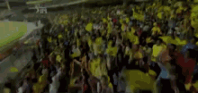 fans waving flags stadium