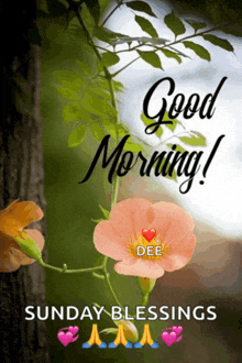 a picture of a flower with the words " good morning sunday blessings "