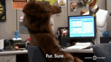 Fur Sure, Dude GIF