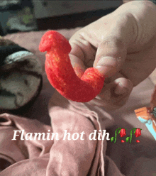 a person is holding a red item with flamin hot dih written below it
