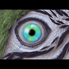 Vior6 Macaw GIF - Vior6 Macaw Parrot GIFs