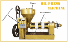 Cooking Oil Press Machine GIF - Cooking Oil Press Machine GIFs