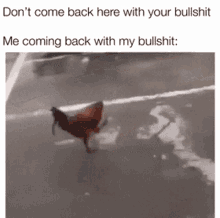 Me Vs Chicken Dont Come Back Here With Your Bullshit GIF - Me Vs Chicken Dont Come Back Here With Your Bullshit Me Coming Back With My Bullshit GIFs