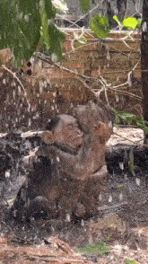 Indiniprint Two Monkeys Hugging Under Rain GIF - Indiniprint Two Monkeys Hugging Under Rain GIFs