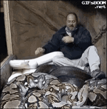 snakes pet bite