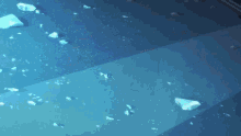 a lightning bolt strikes a blue surface surrounded by ice