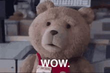 a teddy bear wearing a red shirt and a name tag is sitting on a table .