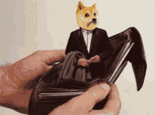 sofakingdoge wallets