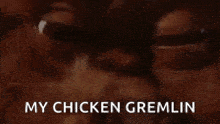 a close up of a cat with the words `` my chicken gremlin '' written on it .