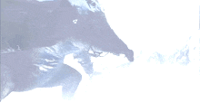 a large animal with a very long nose is standing in a snowy area