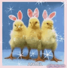 happy easter chicks bunny ears sparkle easter