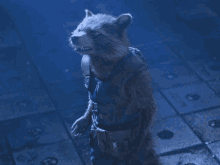Rocket Raccoon GIF - Rocket Raccoon GIFs
