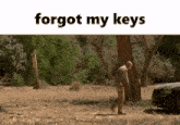 Forgot My Keys Breaking Bad GIF - Forgot My Keys Breaking Bad Walter GIFs