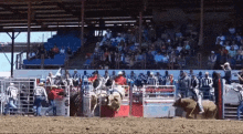 Who Can Stay On GIF - Who Can Stay On Ride Bull Riding GIFs