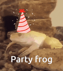 Frog Party Frog GIF - Frog Party Frog Xenopus Laevis GIFs