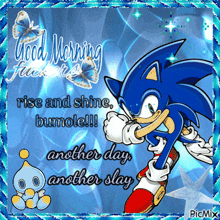a sonic the hedgehog greeting card that says rise and shine bumole