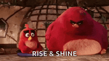 two red angry birds from the angry birds movie are sitting on a table .