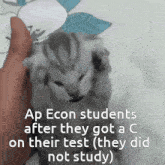 Ap Classes Ap Econ GIF - Ap Classes Ap Econ Ngl I'M Just Calling Myself Out GIFs