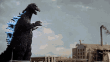 Godzilla Kaiju GIF - Godzilla Kaiju Mayhem GIFs