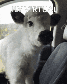 Virtual Ily Virtual GIF - Virtual Ily Virtual Cow GIFs