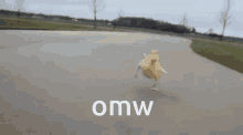 Duck Omw GIF - Duck Omw Joining GIFs