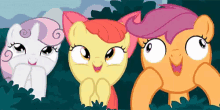 three ponies are standing next to each other and looking up at something