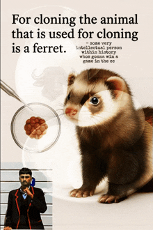 a poster that says for cloning the animal that is used for cloning is a ferret on it