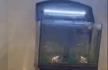 a fish tank with the lid open and a light on it .