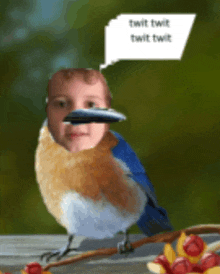 a bird with a child 's face on it says twit twit