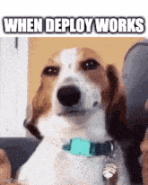 When Deploy GIF - When Deploy Works GIFs