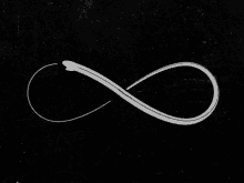 Infinity Loop GIF - Infinity Loop Infinity Symbol GIFs
