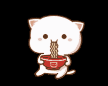 noodles cat