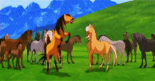 spirit stallion of the cimarron horses horse celebrating celebration