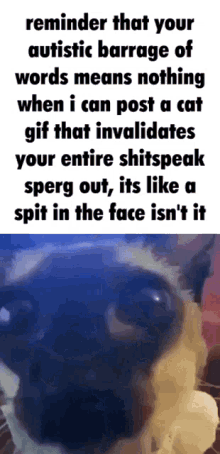 a picture of a cat with the words reminder that your autistic barrage of words means nothing