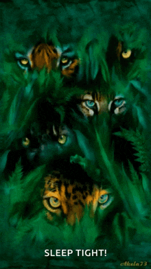 a painting of tigers and leopards with the words sleep tight below them