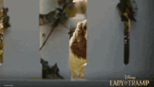 Lady And The Tramp Hello GIF - Lady And The Tramp Hello Cute GIFs