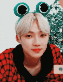 a boy wearing frog ears and a plaid shirt