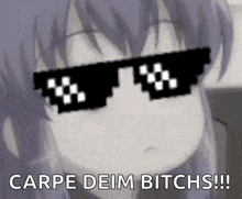 a girl wearing sunglasses with the words `` carpe deim bitches '' written on them .
